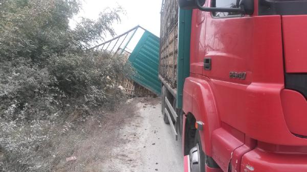 TIR dorsesindeki kesimhaneye götürülen tavuklar telef oldu