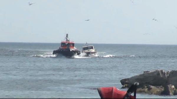 Marmara Denizi'nde can pazarı