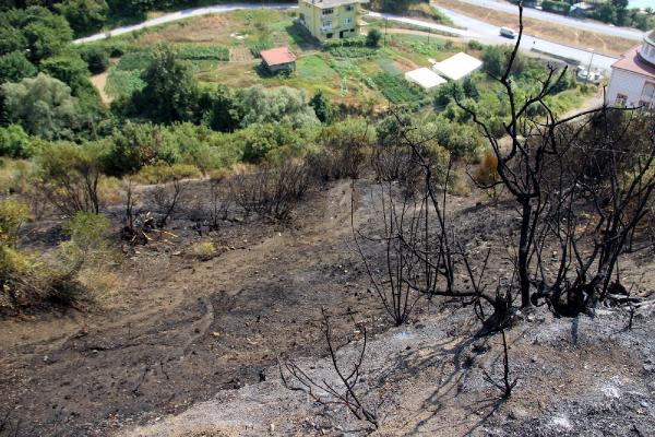Otluk alandaki ateşin ormana sıçramasını helikopter önledi