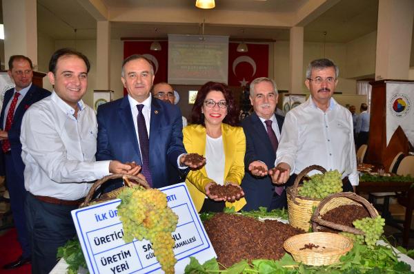 AK Partili Berber: Zeytinde ve zeytinyağında ithalat söz konusu değil