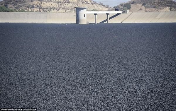 Los Angeles'i susuzluktan kurtarmak için baraja tam 96 milyon plastik top attılar