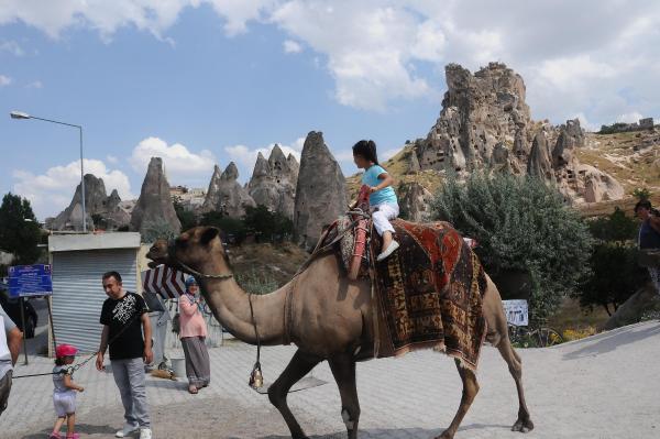 Deve turları ilgi görüyor
