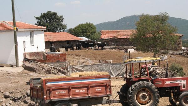 Edirne’de ‘Şarbon’ karantinası