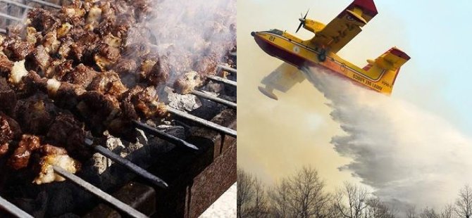Orman yakan mangalcılara 13,5 milyon avro ceza
