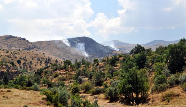 Kayseri'de 4 hektar orman yandı
