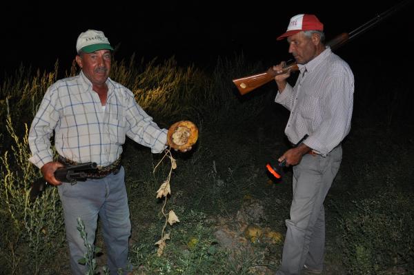 Çiftçilerden davullu domuz önlemi