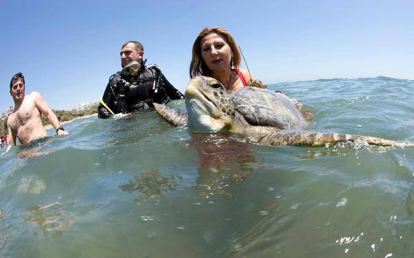 Hindistan'da caretta caretta kaplumbağalarını anlatacak