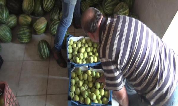 Koruma altındaki 75 ayının yıllık beslenme gideri 250 bin lira