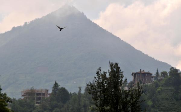 Cumhurbaşkanı Erdoğan için Rize'de ilginç pankartlar