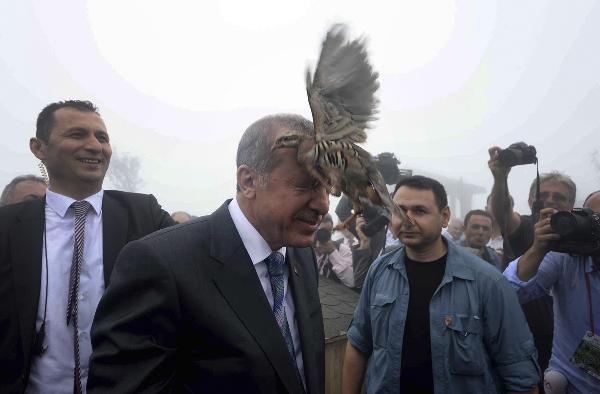 O fotoğraf dünyada ses getirdi