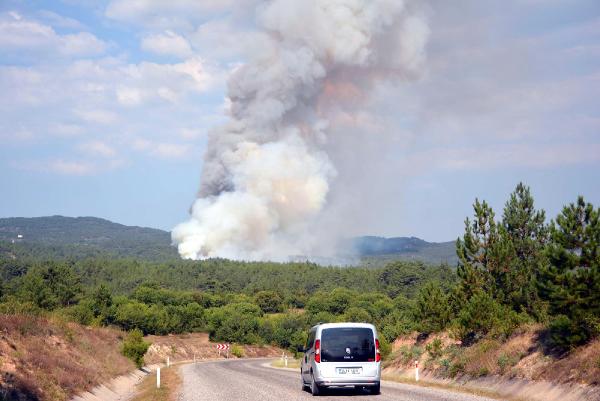 Karabük'te orman yangını