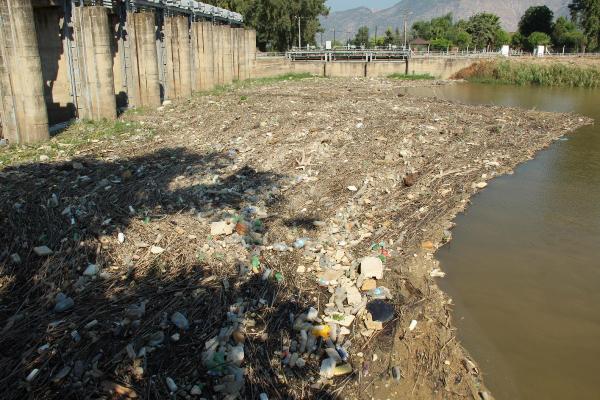 Sökeli üretici Menderes'i kurtarmak için kolları sıvadı