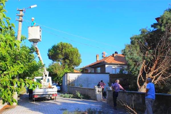Rüzgarın etkisiyle ağaç caminin üzerine devirdi