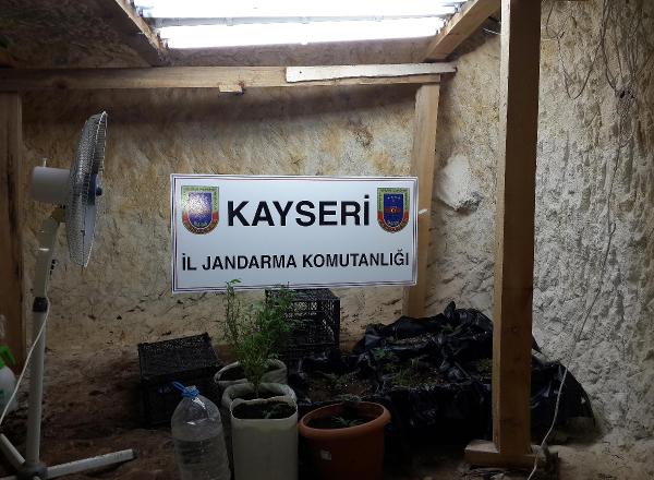 Mağarada esrar operasyonu: 1 gözaltı