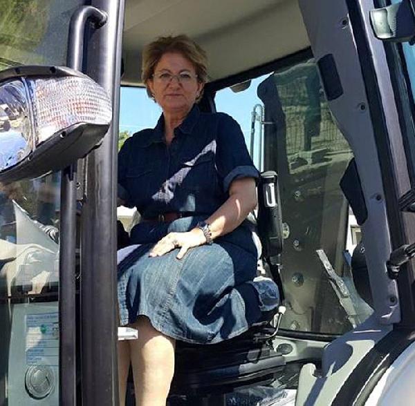 Belediye güneş tarlası kuracak