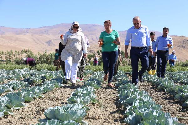 Gürpınar Belediyesi açık sera kurdu