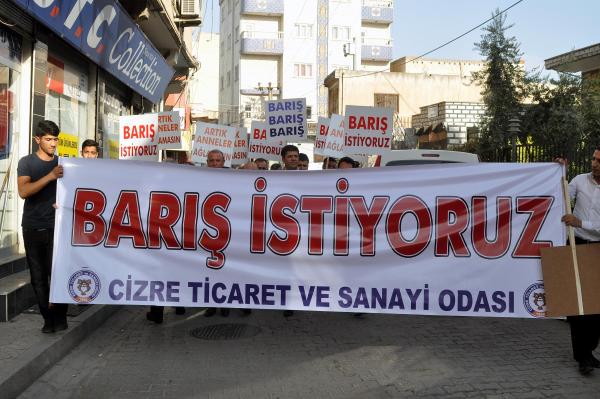 Cizre'de sivil toplum örgütlerinden 'silahlar sussun' çağrısı