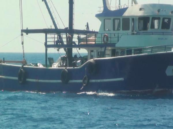 Didim'de trolcülere para cezası