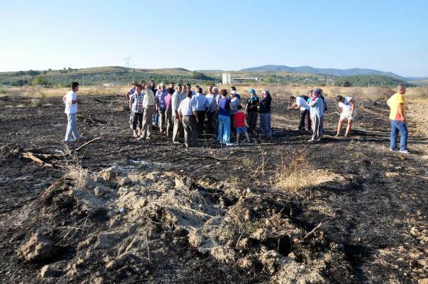 Alevler, Yırca'daki 'Zafer Ağaçları'nı küle çevirdi (2)