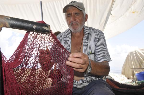 Ereğlili balıkçılar bu sezondan umutlu