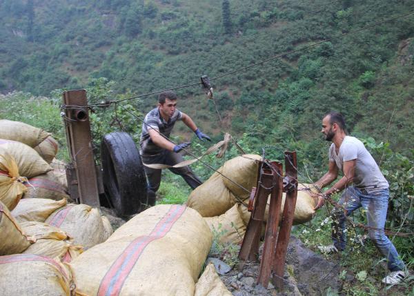 Üretici yamaç arazideki fındığını ilkel teleferikle çekiyor