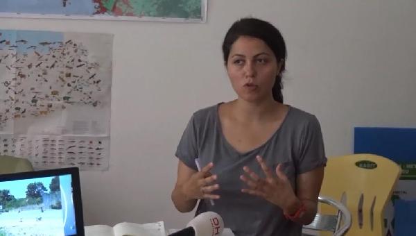 Hayvanseverlerden barınak incelemesi