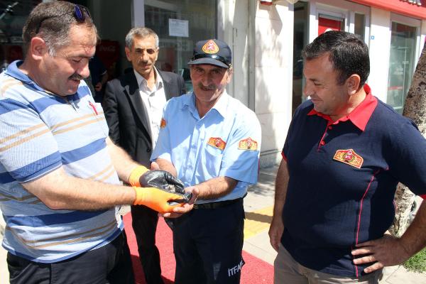 Ardahan'da serçe operasyonu