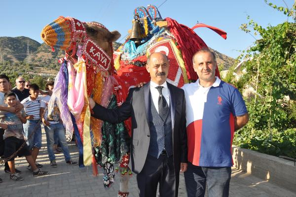 Gelini baba evinden deveyle aldı