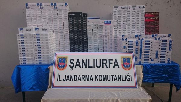 Şanlıurfa’da 13 bin paket kaçak sigara ele geçti
