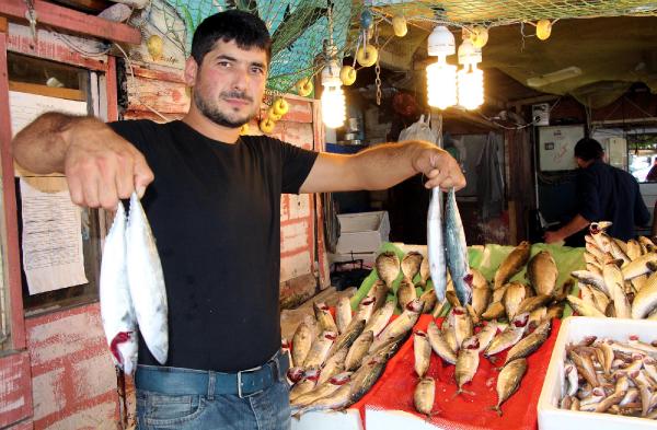 Çingene palamutu tezgahlardaki yerini aldı