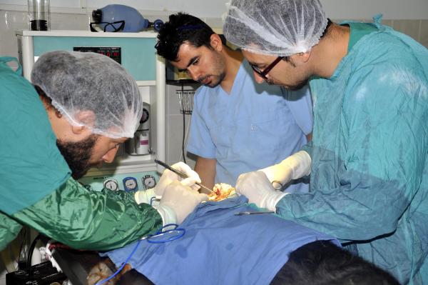 Köpeğin ağzındaki tümör ameliyatla alındı