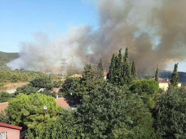 Tuzla'da askeri alan içindeki ormanlık alanda yangın (1)