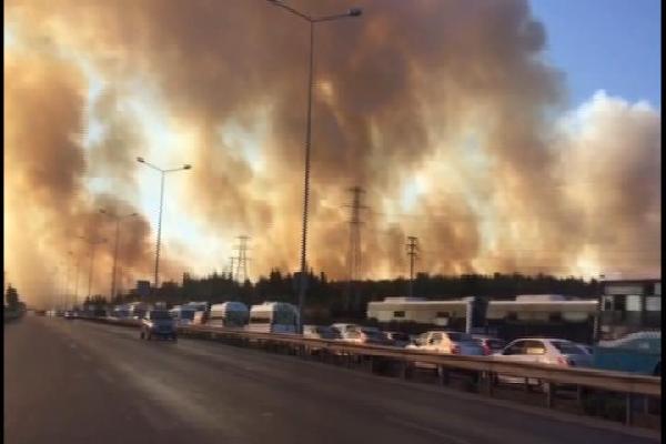 Tuzla'da askeri bölgedeki ormanlık alan alev alev