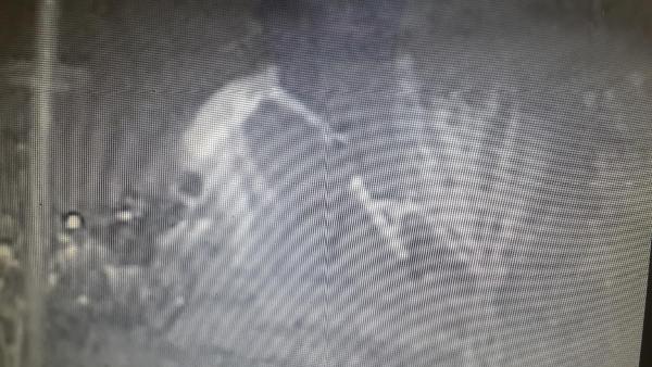 Silahlı kavgada ikinci raund: 1 ölü, 2 yaralı (2)