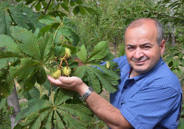 Erzurum'da 2 bin 400 rakımda 13 çeşit meyve yetiştiriyor