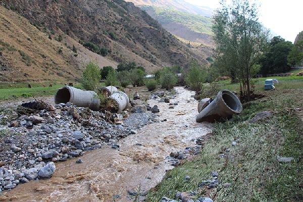Başkan Bartu, Çatak'ta selin vurduğu mahallelerde inceleme yaptı
