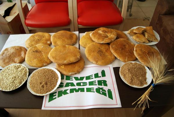 Gacer için hazırlanan proje  için 350 bin TL'lik kaynak aranıyor