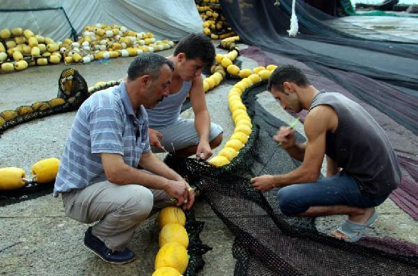 Prof. Dr. Balık: Denizlerde avlanan balık 25 yılda yarı yarıya azaldı