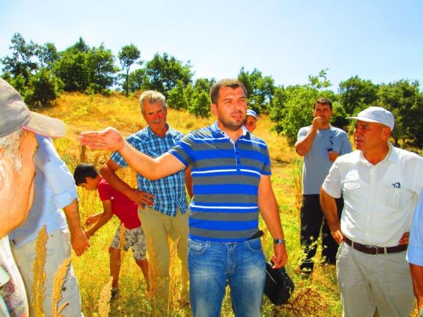 Kinoa bitkisinin hasadı izleyici topladı