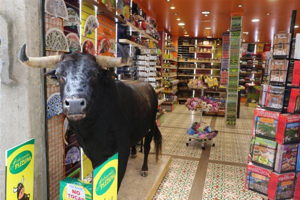 Başarılı olan öğrencilere okul öncesi Avrupa tatili