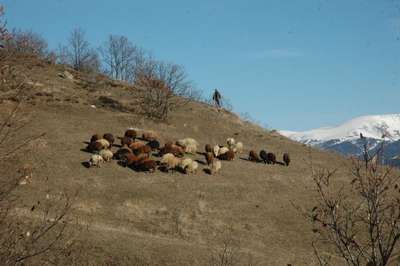 Iğdır ve Posof'ta bahar havası
