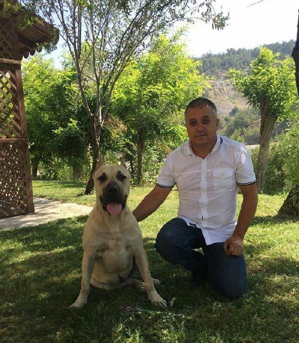 Soma'nın sanık sandalyesinde, terfi ettiler