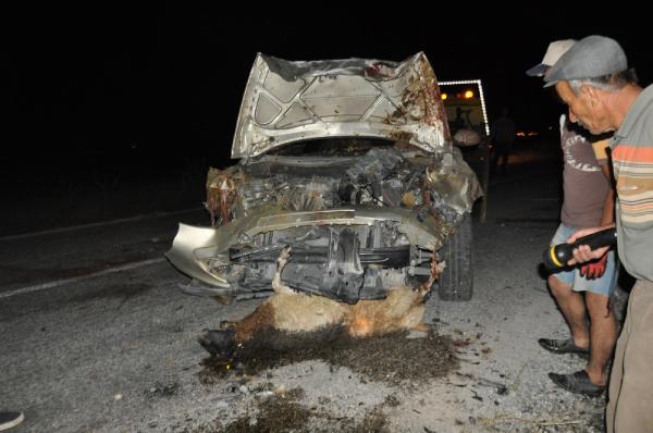 Otomobil koyun sürüsüne daldı: 3 yaralı, 45 koyun telef oldu