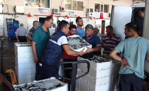 Sezonun ilk gününde hamsi bereketi (2)