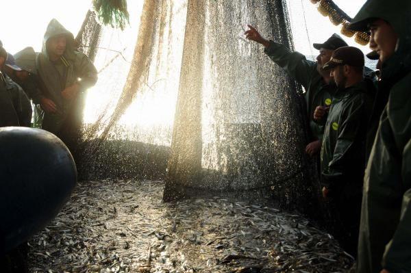 Fishers shove off in Istanbul as seasonal fishing ban lifted
