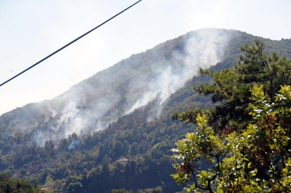 Zonguldak'ta 3 hektarlık orman alanı yangında zarar gördü
