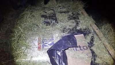 Ağrı'da 305 bin paket kaçak sigaraya 2 tutuklama