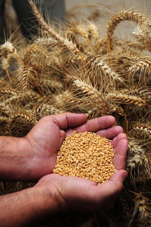 Adana Ticaret Borsası: Tarımda 'havza modeli' üretimi artırabilir