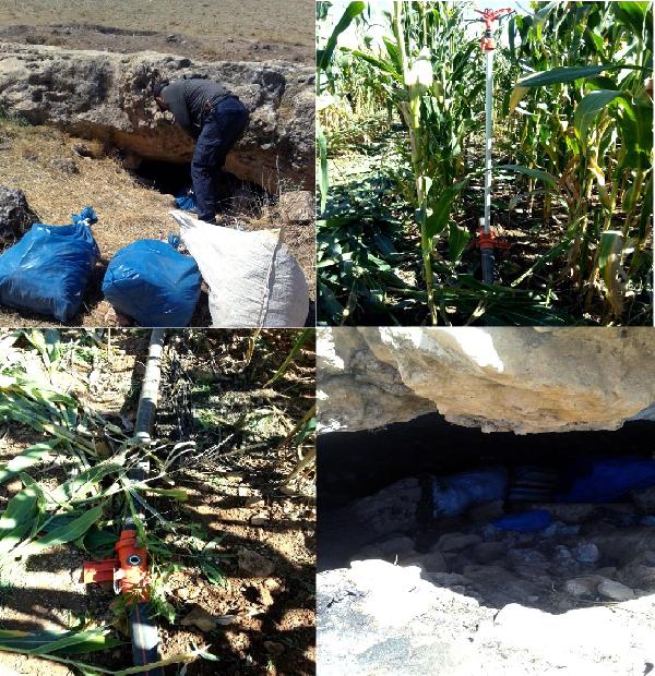 Diyarbakır'da: 400 kilo esrar ve silahlar ele geçirildi