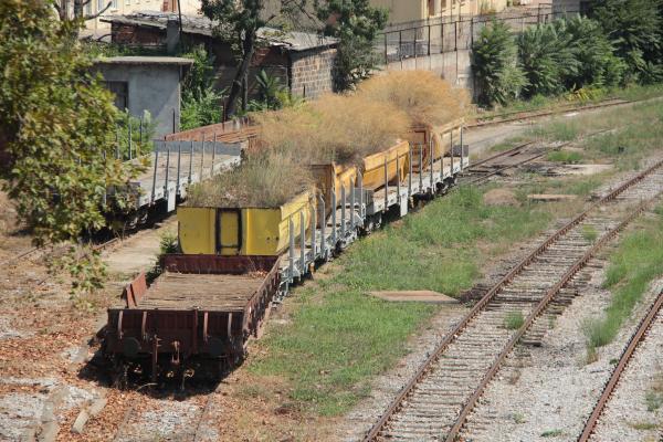 Bir zamanlar İstanbul'un yükünü çeken vagonlarda ot bitti